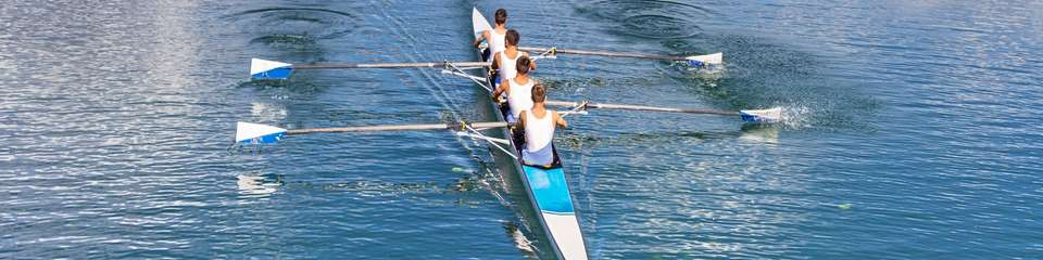 Les bienfaits de la betterave pour l'aviron - Données scientifiques